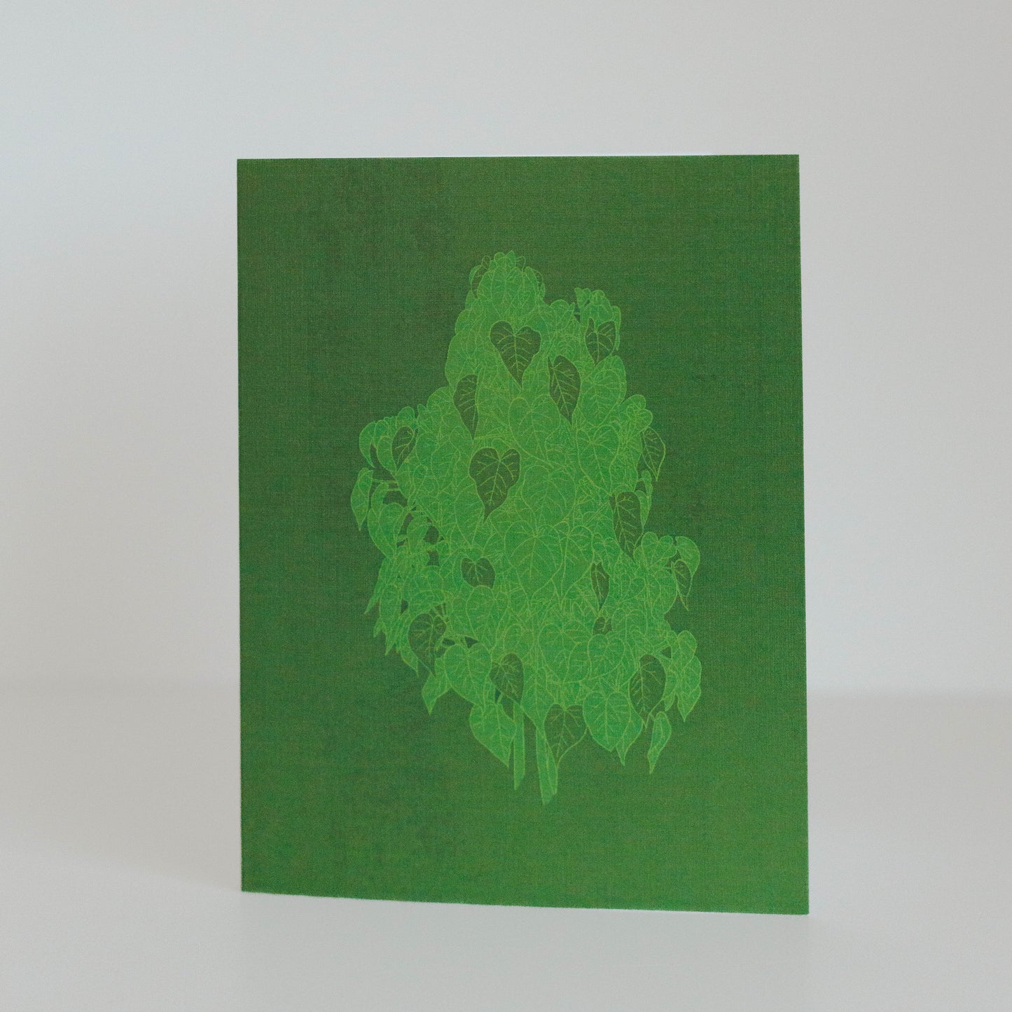 Botanical Cards (3-pack)
