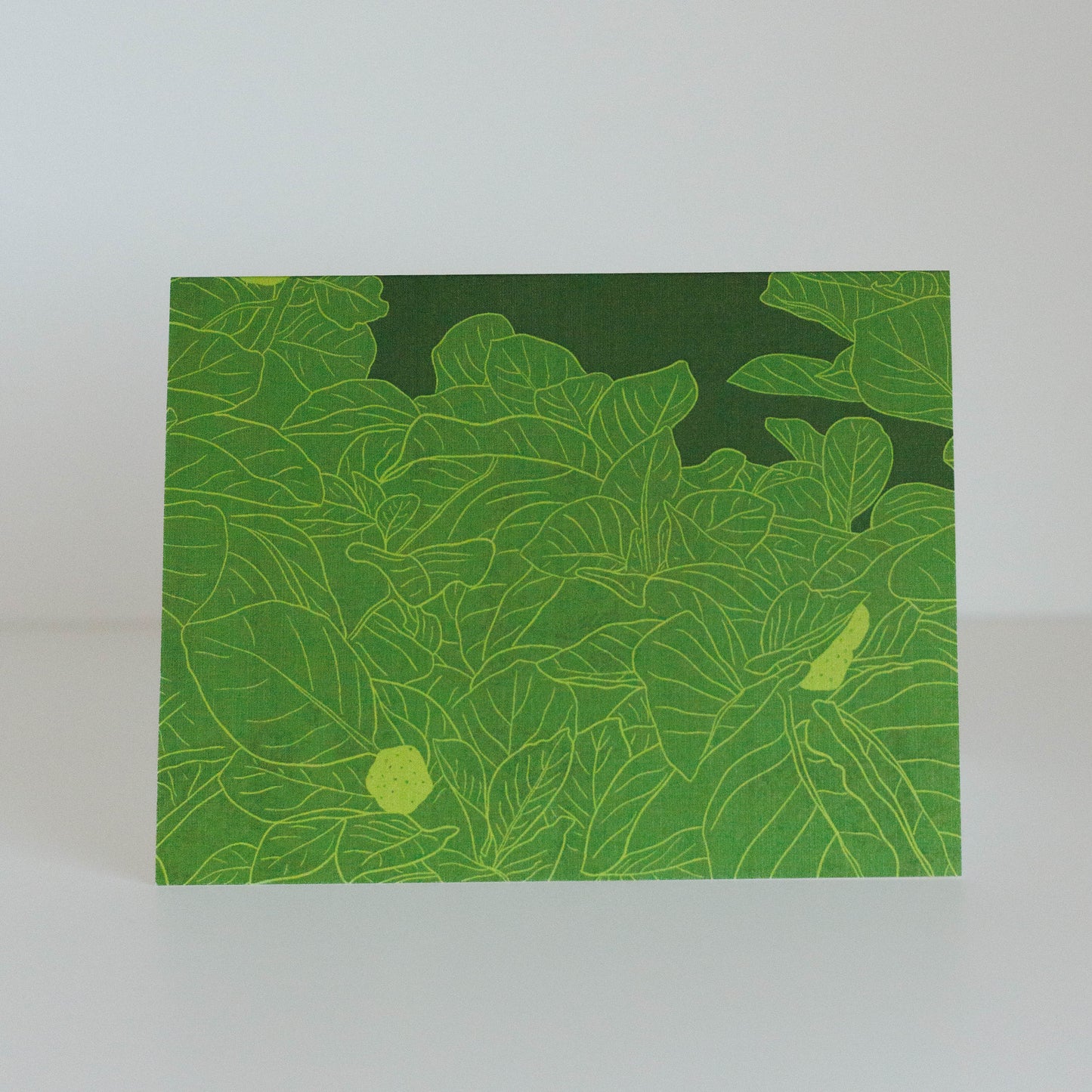 Botanical Cards (3-pack)