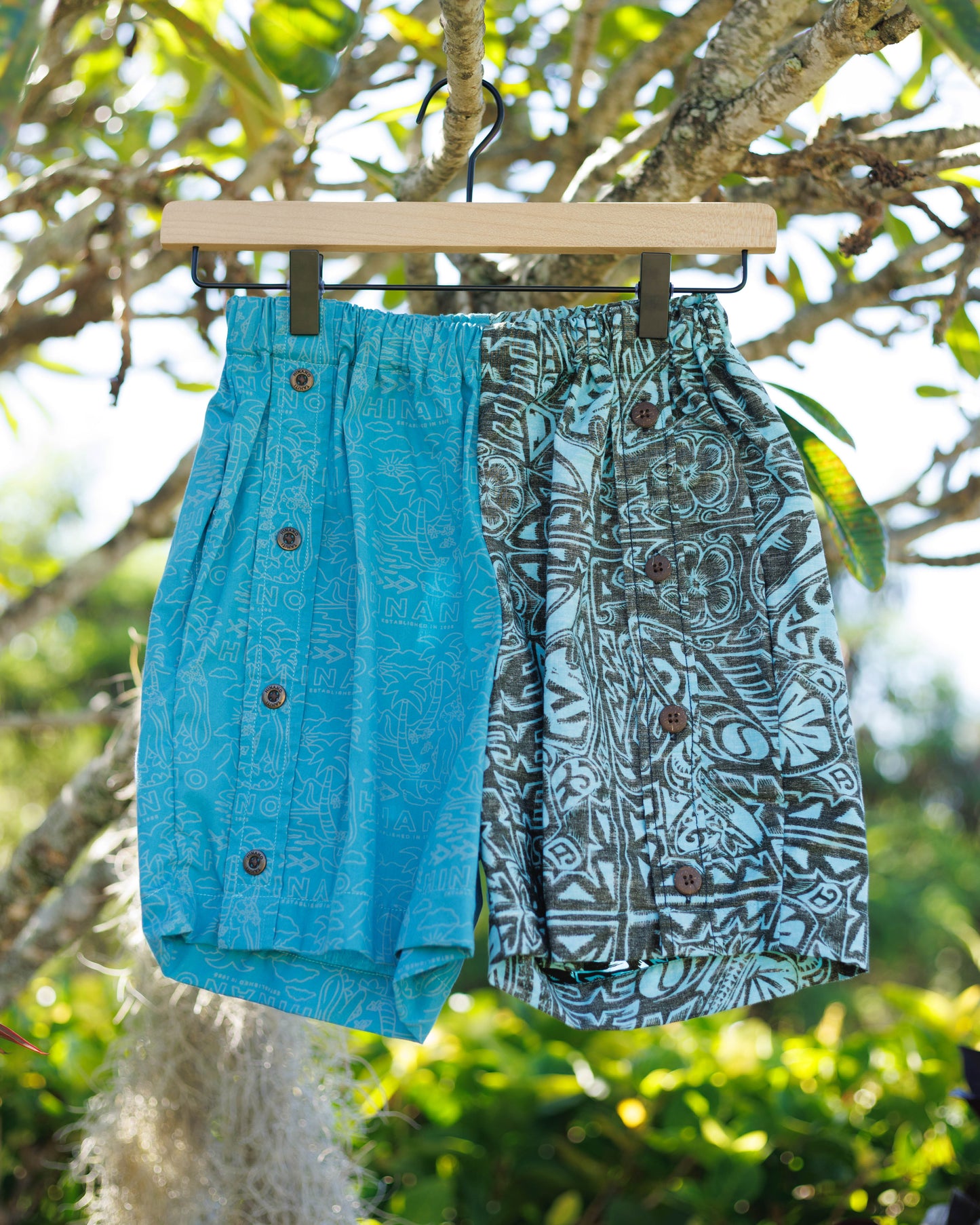 Hana Hou Shorts XS- Plumerias and Palms