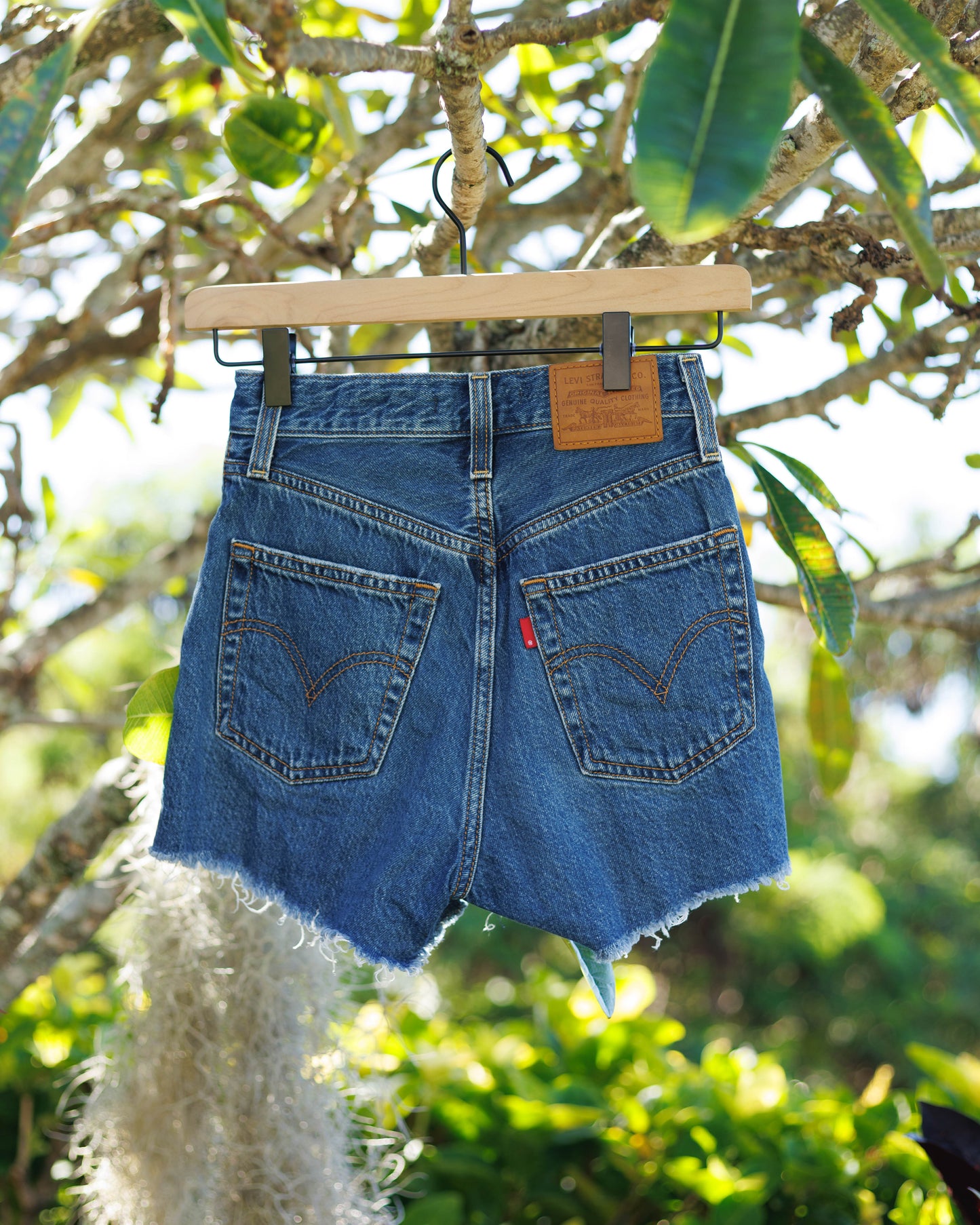 Lei Lāʻī Shorts W Size 23