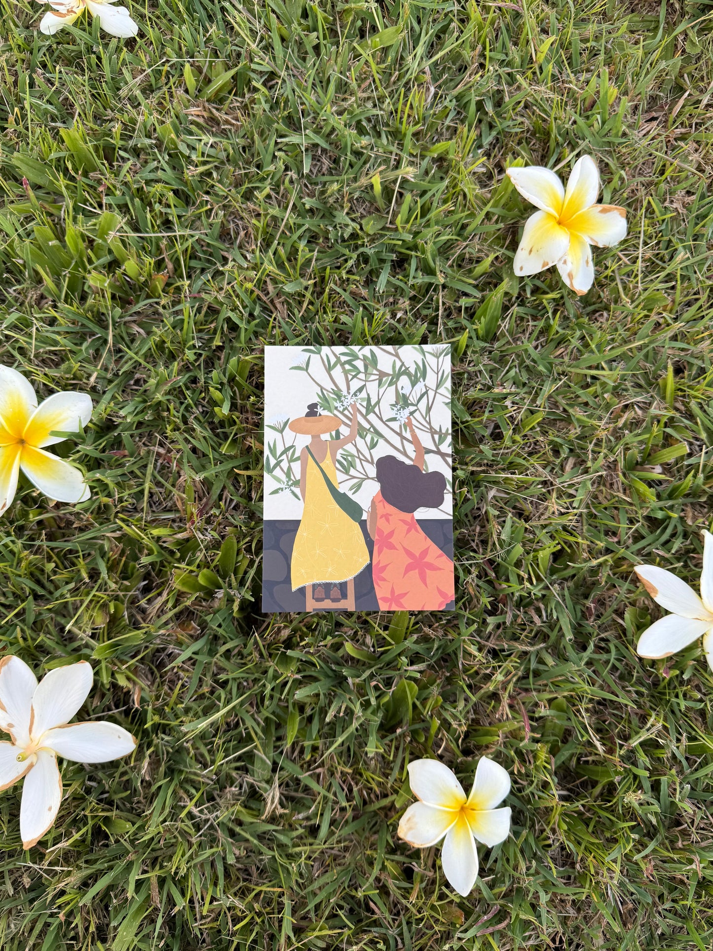 Let's Pick Pua Postcard