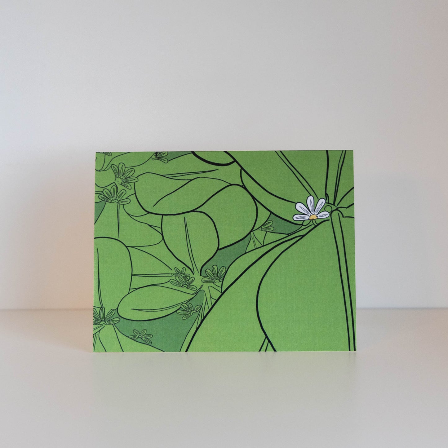 Botanical Cards (3-pack)