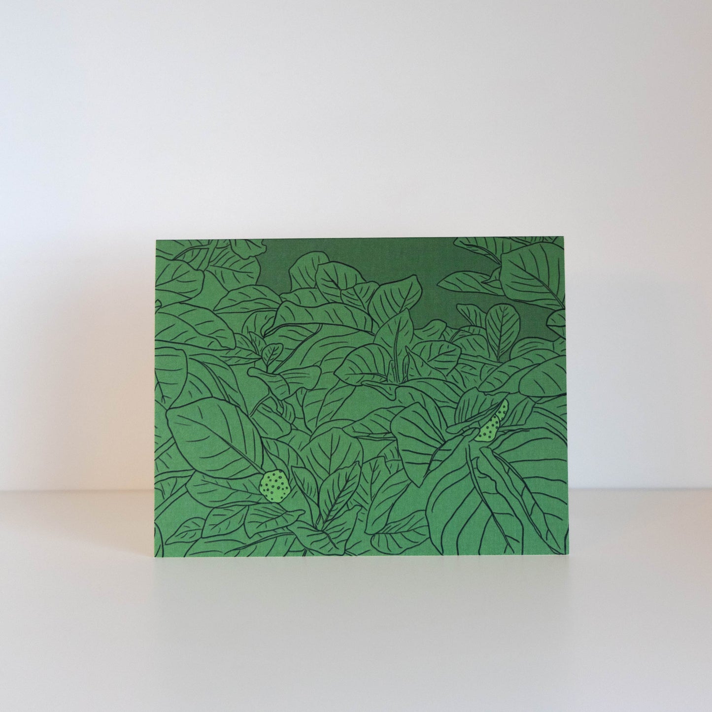 Botanical Cards (3-pack)