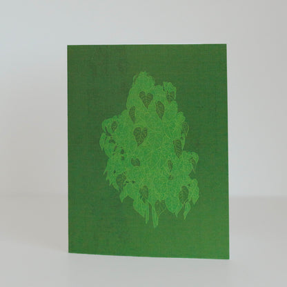 Botanical Cards (3-pack)
