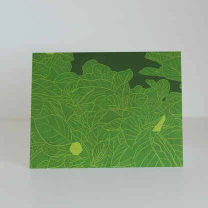 Botanical Cards (3-pack)
